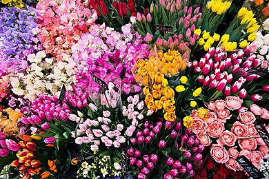 黑暗幻想FPS《巫火》抢先体验开启 Epic商店独占一年